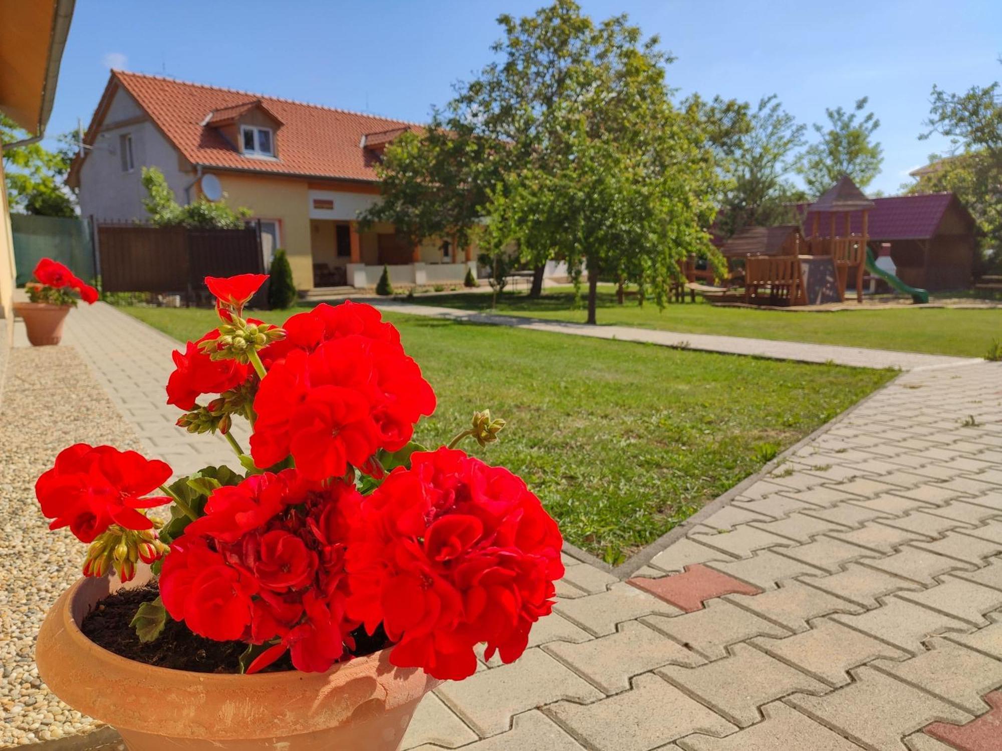 Ubytovanie Liska Radava Экстерьер фото